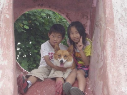 Purin�i�Ղ��j�������Y���傤����